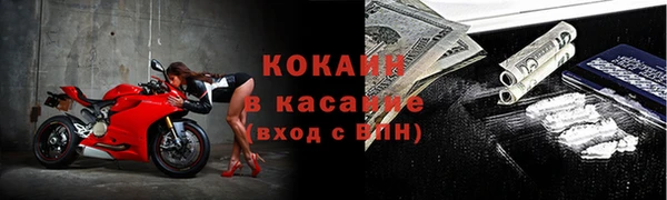 индика Алексин