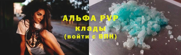 индика Алексин