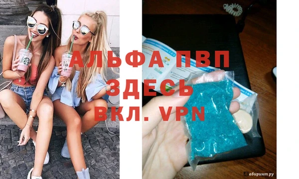индика Алексин