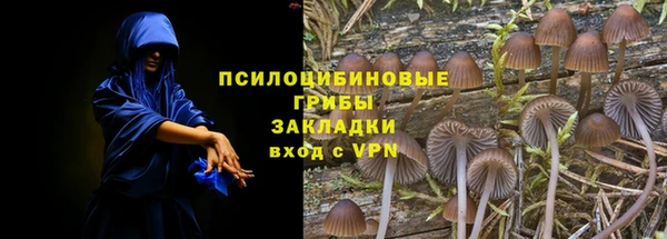 мяу мяу мука Алексеевка