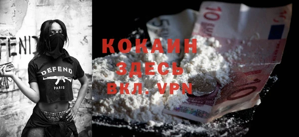 индика Алексин