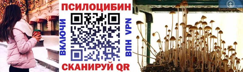 Псилоцибиновые грибы Psilocybine cubensis  мега вход  Радужный 